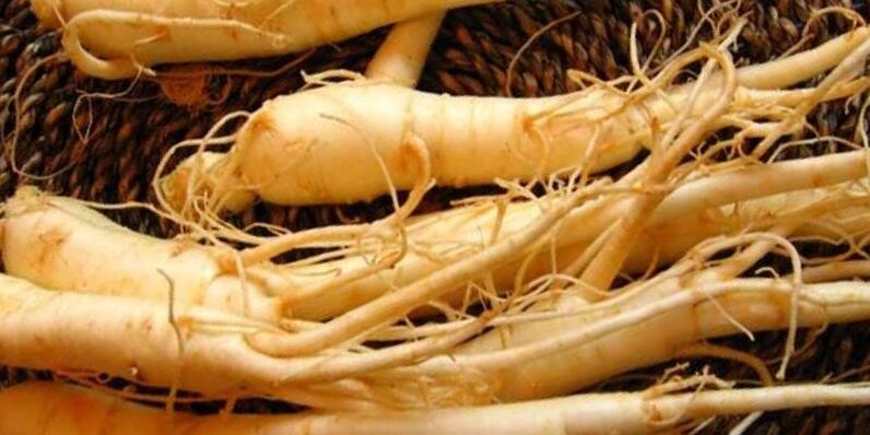 fréimhe ginseng a mhéadú potency